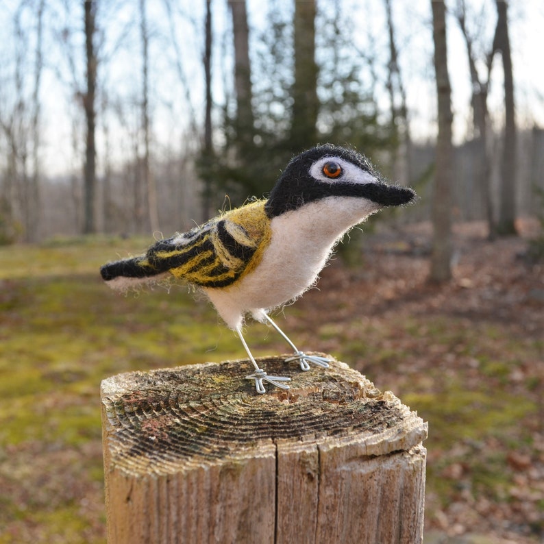 Mr. Black capped Vireo, needle felted wool endangered bird art sculpture image 5