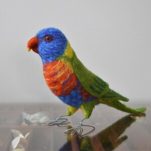Mr. Rainbow Lorikeet, Life Size Needle Felted Bird Fiber Sculpture - Etsy