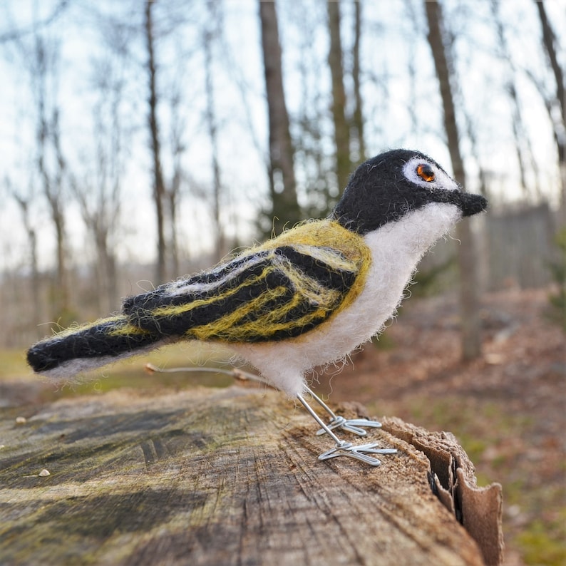 Mr. Black capped Vireo, needle felted wool endangered bird art sculpture image 1