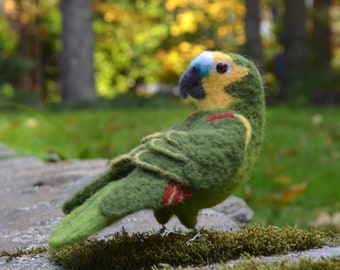 Mr. Blue Fronted Amazon, needle felted bird fiber sculpture