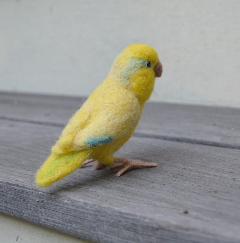 Mr. Yellow Parrotlet with wool legs and feet, needle felted bird, wool fiber art bird sculpture image 5