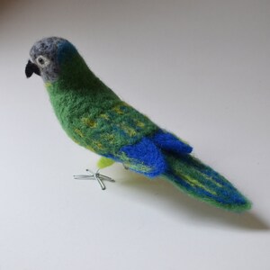 Mr. Dusty Conure, needle felted bird fiber art image 4