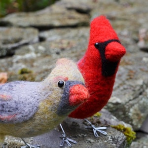 Mr. OR Mrs Cardinal and family, needle felted bird fiber art image 9