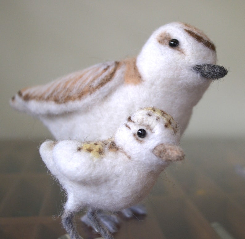 Snowy Plover and chick, needle felted birds sculpture image 3