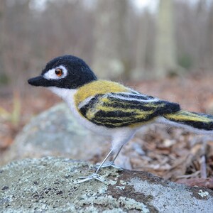 Mr. Black capped Vireo, needle felted wool endangered bird art sculpture image 8