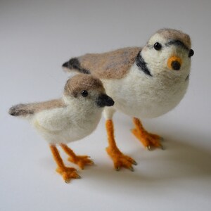 Snowy Plover and chick, needle felted birds sculpture image 5