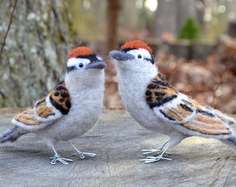 Mr. Chipping Sparrow, needle felted bird fiber art