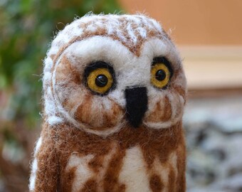 Mr. Northern Saw Whet Owl, needle felted bird fiber art sculpture