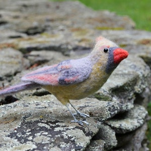 Mr. OR Mrs Cardinal and family, needle felted bird fiber art image 5