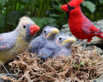 Mr. OR Mrs Cardinal and family, needle felted bird fiber art