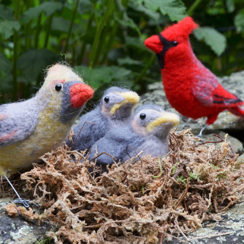 Mr. OR Mrs Cardinal and family, needle felted bird fiber art image 1