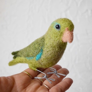 Mr. Green Rumped Parrotlet needle felted bird, wool fiber art animal sculpture
