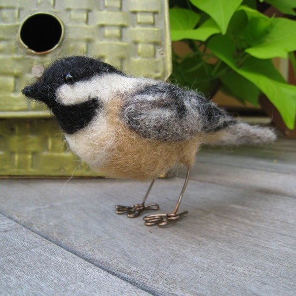 Mr. Black Capped Chickadee, needle felted bird