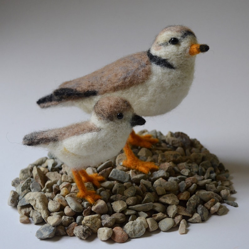 Piping Plover and chick, needle felted birds sculpture image 3