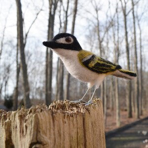 Mr. Black capped Vireo, needle felted wool endangered bird art sculpture image 4