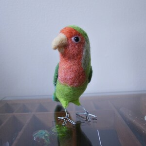 Mr. Peach faced lovebird, needle felted bird art fiber sculpture image 3