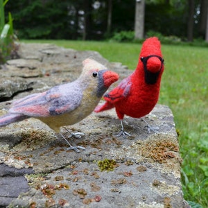 Mr. OR Mrs Cardinal and family, needle felted bird fiber art image 3