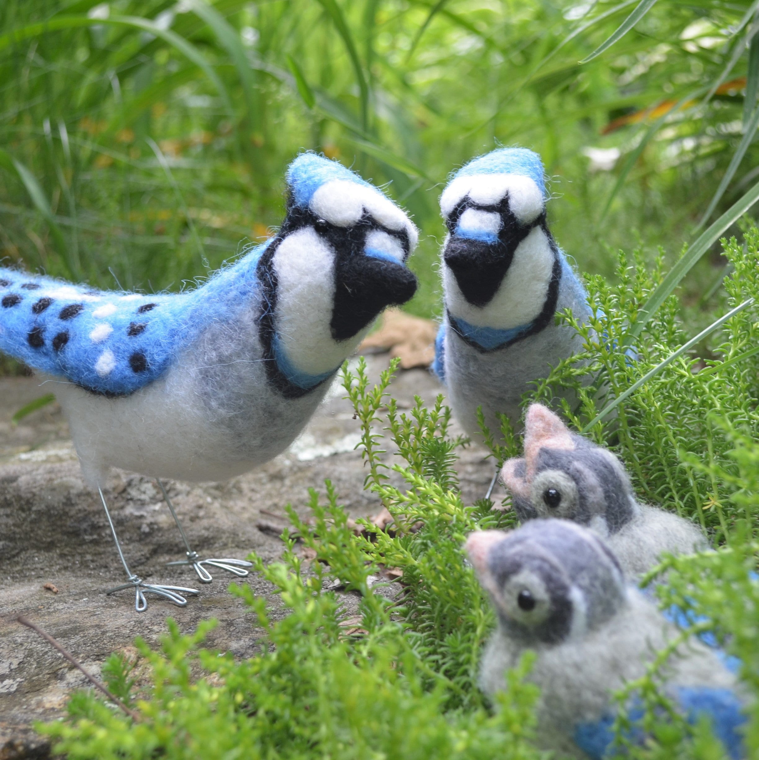 Mr Or Mrs Blue Jay And Family Needle Felted Birds And Etsy