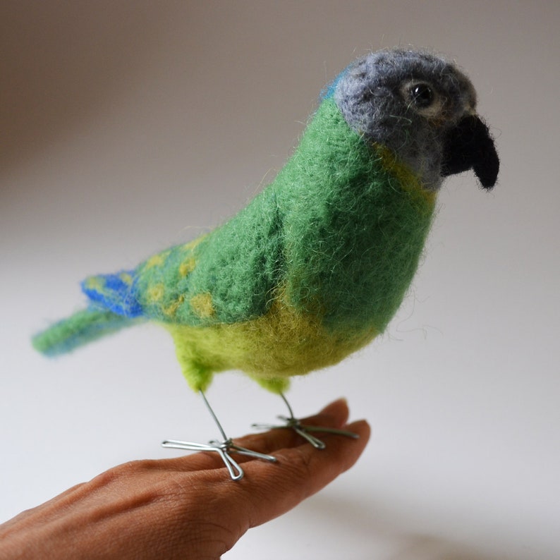 Mr. Dusty Conure, needle felted bird fiber art image 3