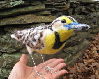 Mr. Western Meadowlark, needle felted bird fiber sculpture