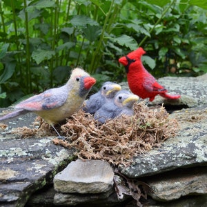 Mr. OR Mrs Cardinal and family, needle felted bird fiber art image 6
