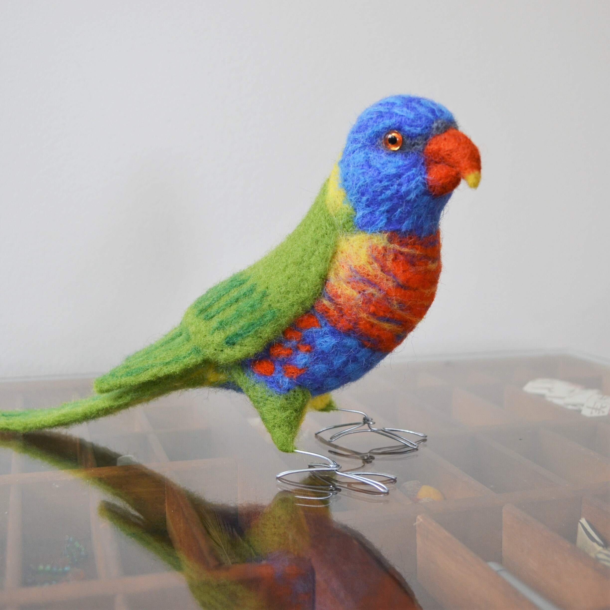 Rainbow Lorikeet Rainbow Lorikeet - Niabi Zoo