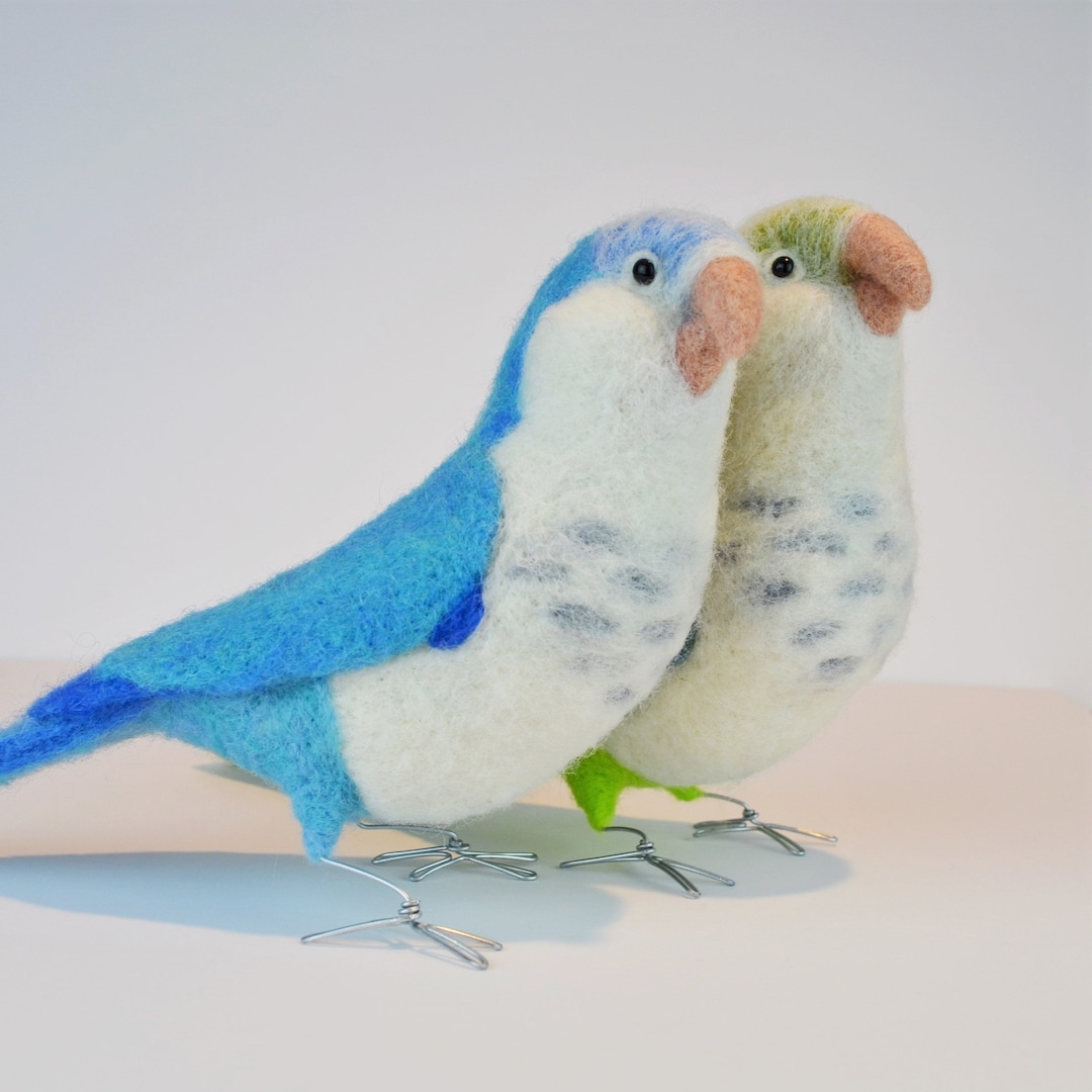 Blue or Green Faced Quaker Parrot, Needle Felted Bird