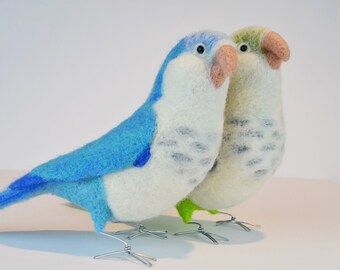 Mr. Blue or Green Faced Quaker Parrot, needle felted bird sculpture