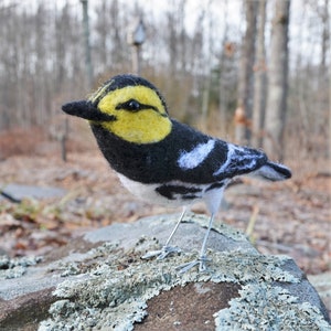 Mr. Golden Cheeked Warbler, needle felted wool endangered bird art sculpture image 1