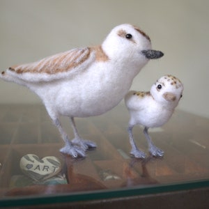 Snowy Plover and chick, needle felted birds sculpture image 2