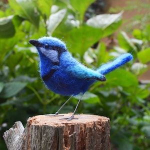 M. Splendid Fairy Wren, oiseau australien feutré à l'aiguille, art de la sculpture douce