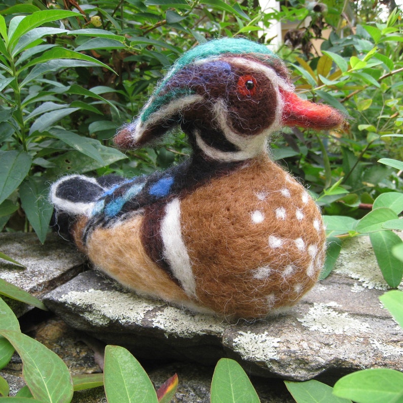 Mr. Wood Duck, needle felted bird sculpture image 3