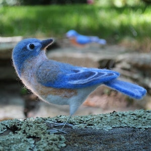 Bluebird family, needle felted bird sculpture image 3