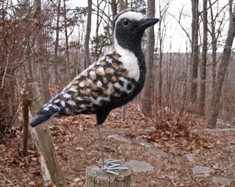 Mr. Pacific Golden Plover, needle felted bird fiber sculpture