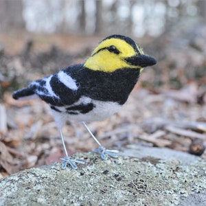 Mr. Golden Cheeked Warbler, needle felted wool endangered bird art sculpture image 2