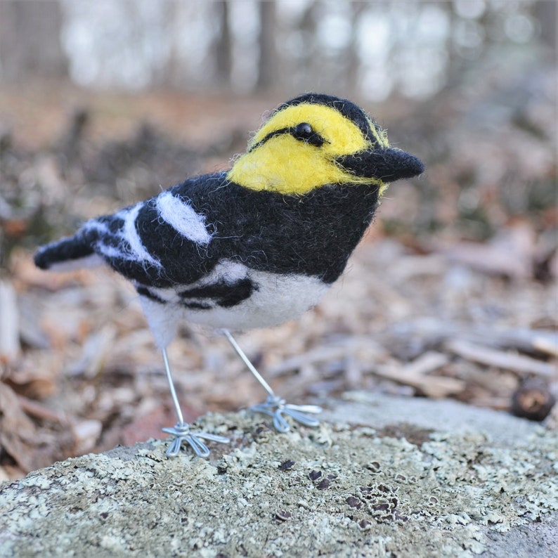 Mr. Golden Cheeked Warbler, needle felted wool endangered bird art sculpture image 2