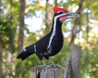 Mr. Pileated Woodpecker, needle felted bird fiber art sculpture