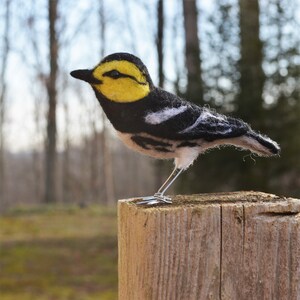 Mr. Golden Cheeked Warbler, needle felted wool endangered bird art sculpture image 4