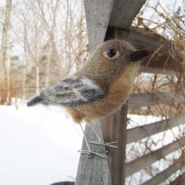 Mr. Ruby-crowned Kinglet