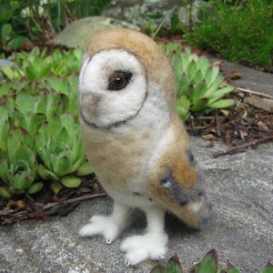 Mr. Barn Owl, needle felted bird sculpture image 2