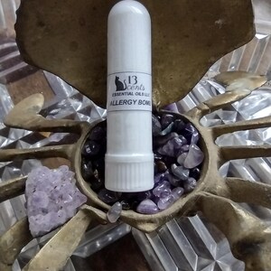 ALLEGY BOMB Nasal Inhaler Stick - Etsy