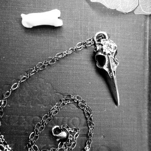 May include: A silver bird skull pendant necklace with a delicate chain. The pendant is detailed and realistic, with a long beak and intricate skull features. The chain is silver and has a lobster clasp.