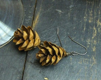 CONÍFERA. Pendientes rústicos de mini piñas de pino de abeto auténtico. Tendencias de otoño.