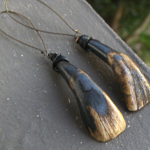 Boucles d'oreilles Aurochs en forme de dent de bison noir Vestiges des plaines. Boucles d'oreilles rustiques en forme de dent de bison (buffle des prairies) de l'ouest. Taxidermie tribale