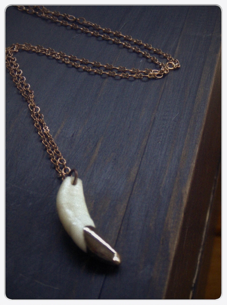 CROWN OF DIRE. 10 K Gold Capped Coyote Fang Tooth Necklace. Etsy
