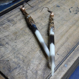 May include: A pair of long, white and black feather earrings with gold metal accents. The earrings are hanging from a wooden surface.