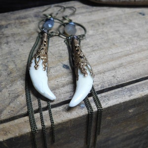 The Werewolf.  Genuine Victorian copper filigree capped Coyote canine teeth & halo hoop  smoky moonstone chandelier earrings. ooak