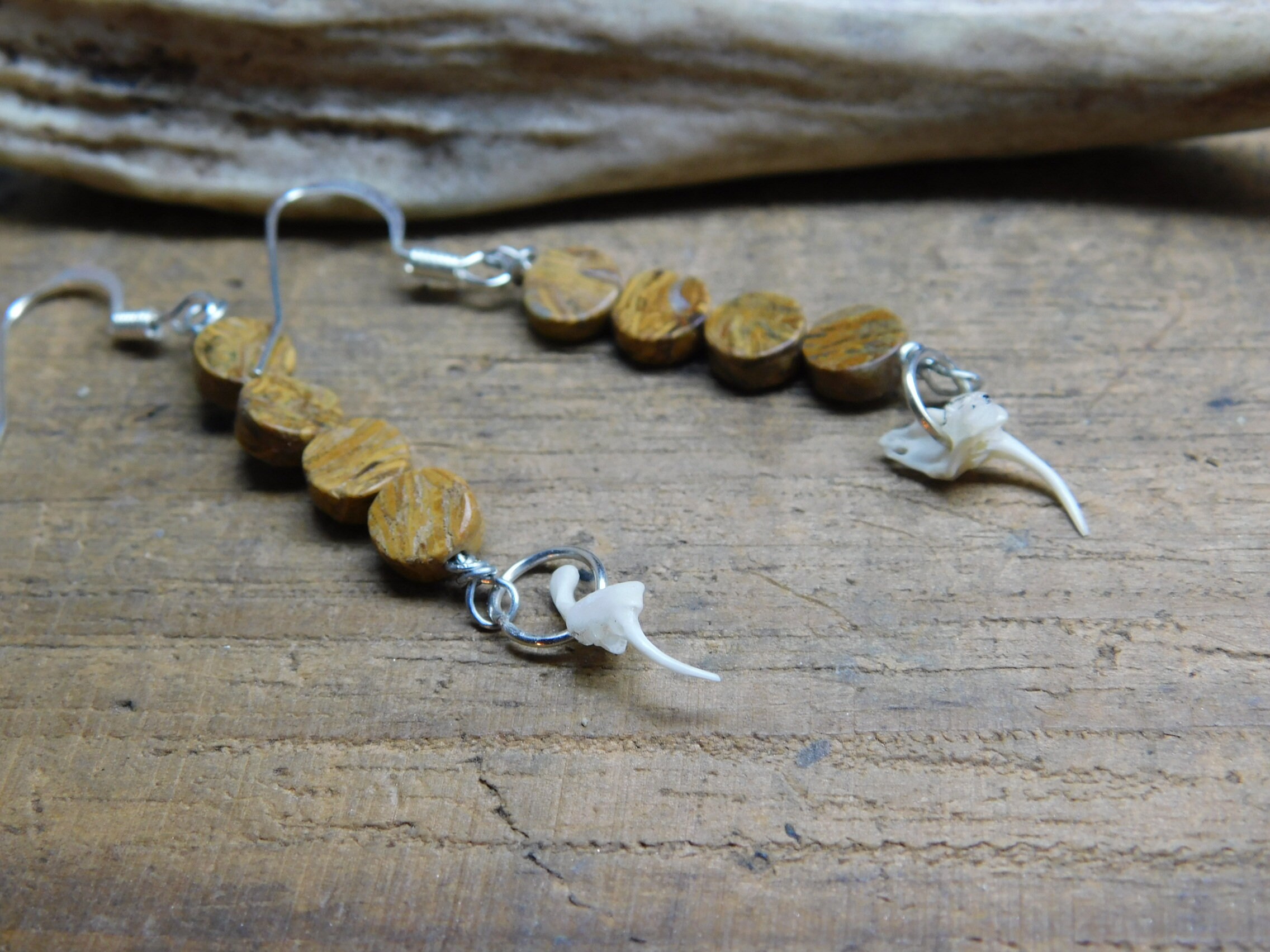 Copperhead Snake Skin for sale Only 2 left at 70