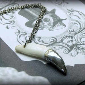 May include: A silver chain necklace with a white tooth pendant. The pendant is shaped like a canine tooth and has a silver tip. The necklace is lying on a white surface with a black and white design.