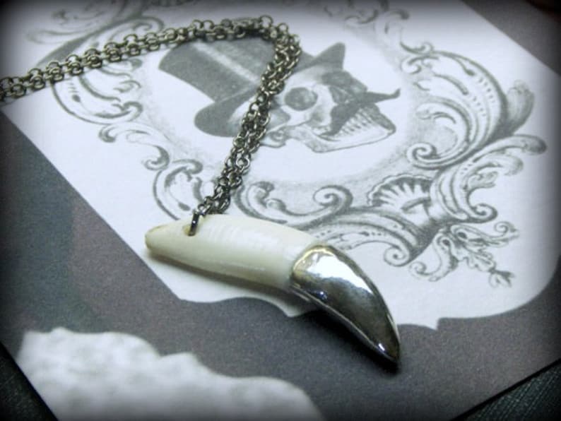 May include: A silver chain necklace with a white tooth pendant. The pendant is shaped like a canine tooth and has a silver tip. The necklace is lying on a white surface with a black and white design.